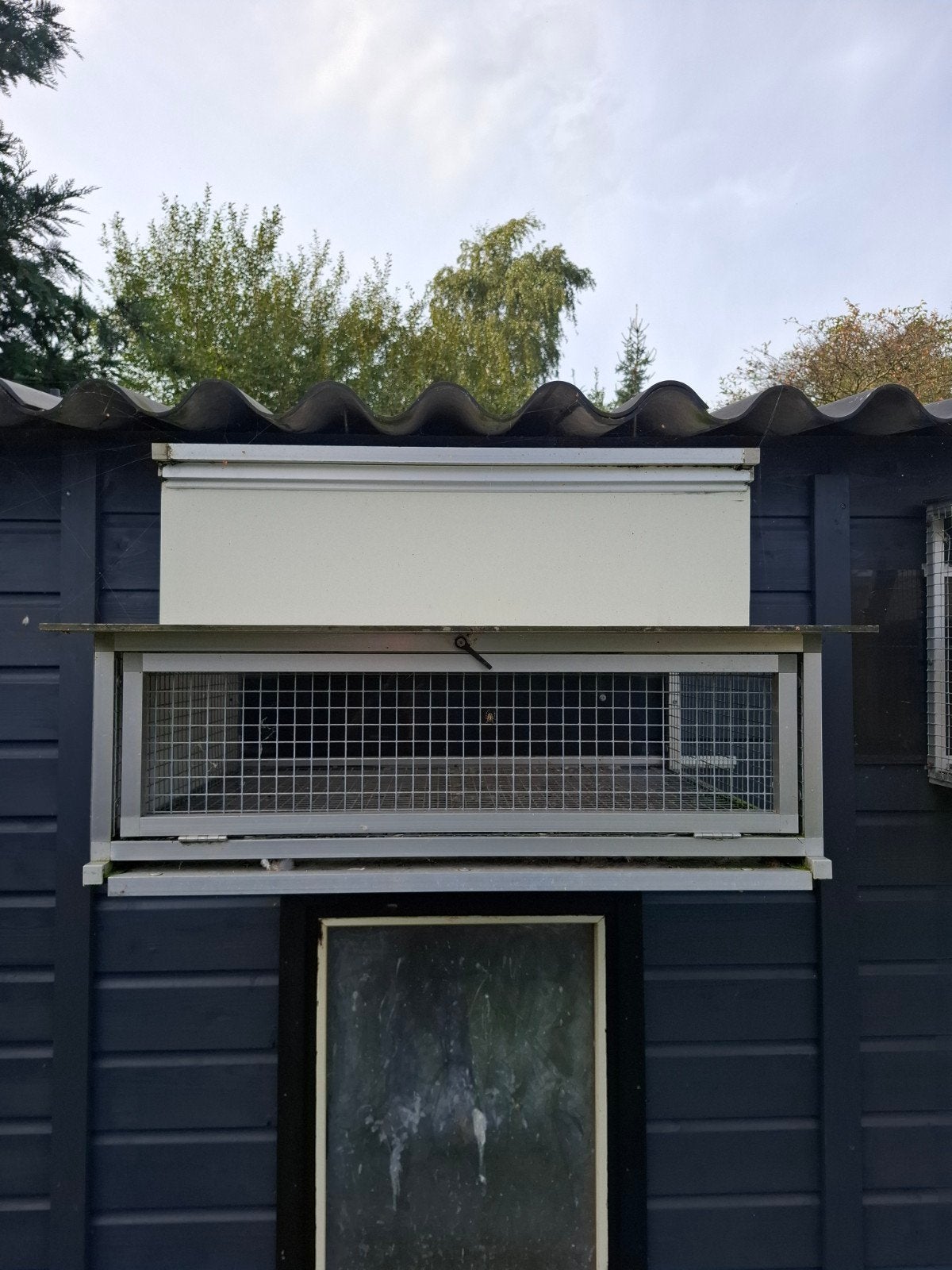 postduiven spoetnik, Dieren en Toebehoren, Postduif