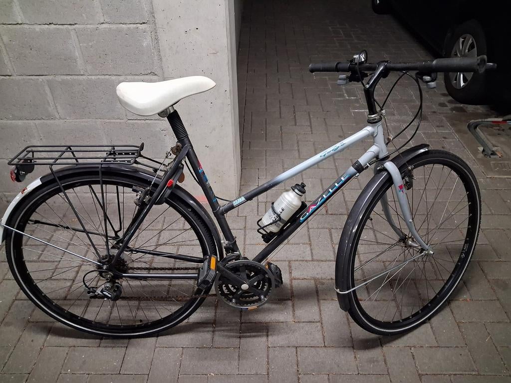 Hybride gazelle golfo izgst., Ophalen, 28 inch, Velgrem, 56 cm of meer