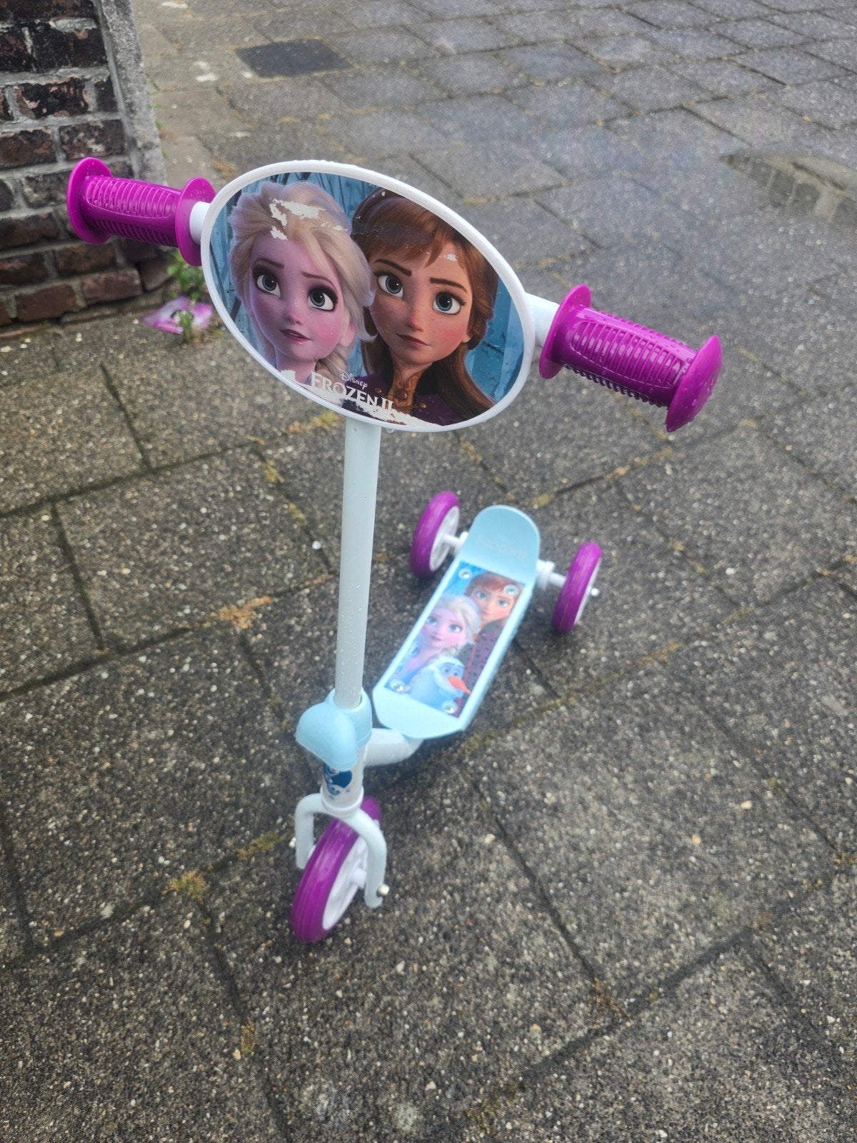step (frozen), Ophalen of Verzenden, Overige typen