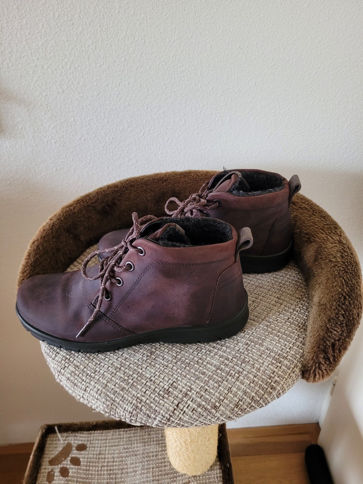 Ecco schoenen maat 36 met warme wollen voering, Kleding | Dames, Schoenen, Ecco, Ophalen of Verzenden, Bruin, Lage of Enkellaarzen