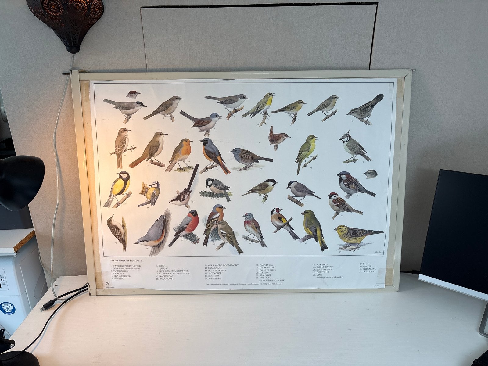 Vintage schoolplaat vogels - Natuur en Biologie, Antiek en Kunst, Antiek | Schoolplaten, Ophalen, Natuur en Biologie