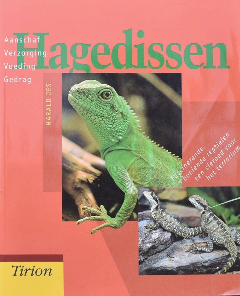 Harald Jes: Hagedissen (houden), Ophalen of Verzenden, Zo goed als nieuw, Reptielen of Amfibieën