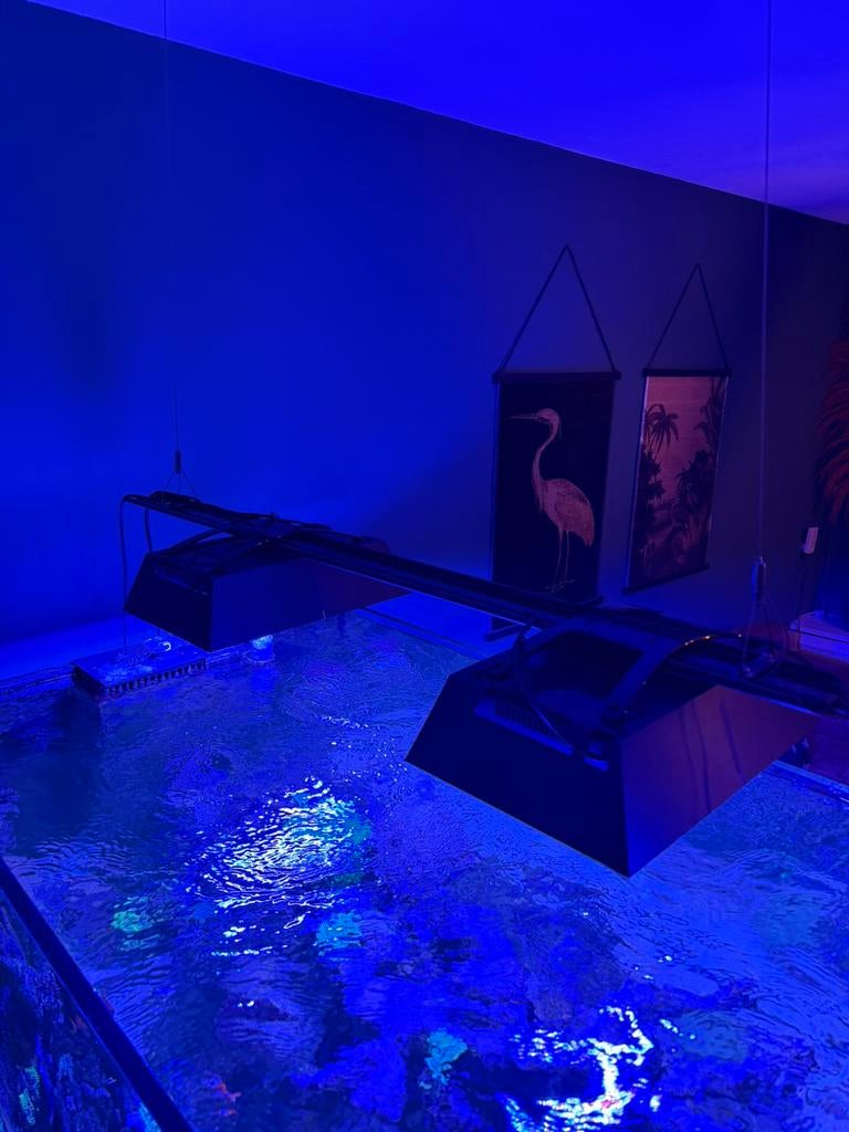 Ecotech Radion XR30 G6 Blue, Dieren en Toebehoren, Ophalen of Verzenden, Zo goed als nieuw, Verlichting of Verwarming