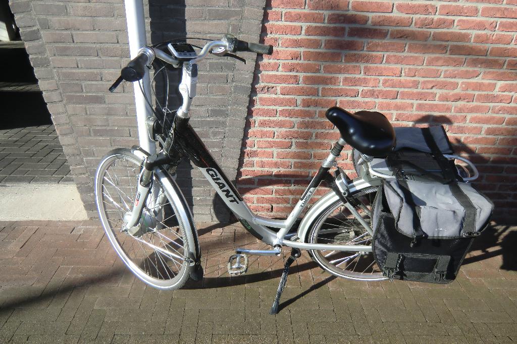 Giant E bike 2 accu's, Fietsen en Brommers, Elektrische fietsen, Gebruikt, 51 tot 55 cm, 30 tot 50 km per accu, Giant