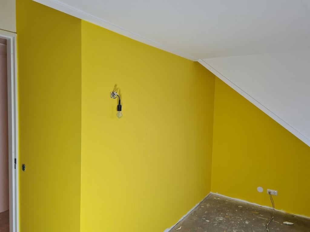 Foto 9 van Renovlies Top Kwaliteit Behangers