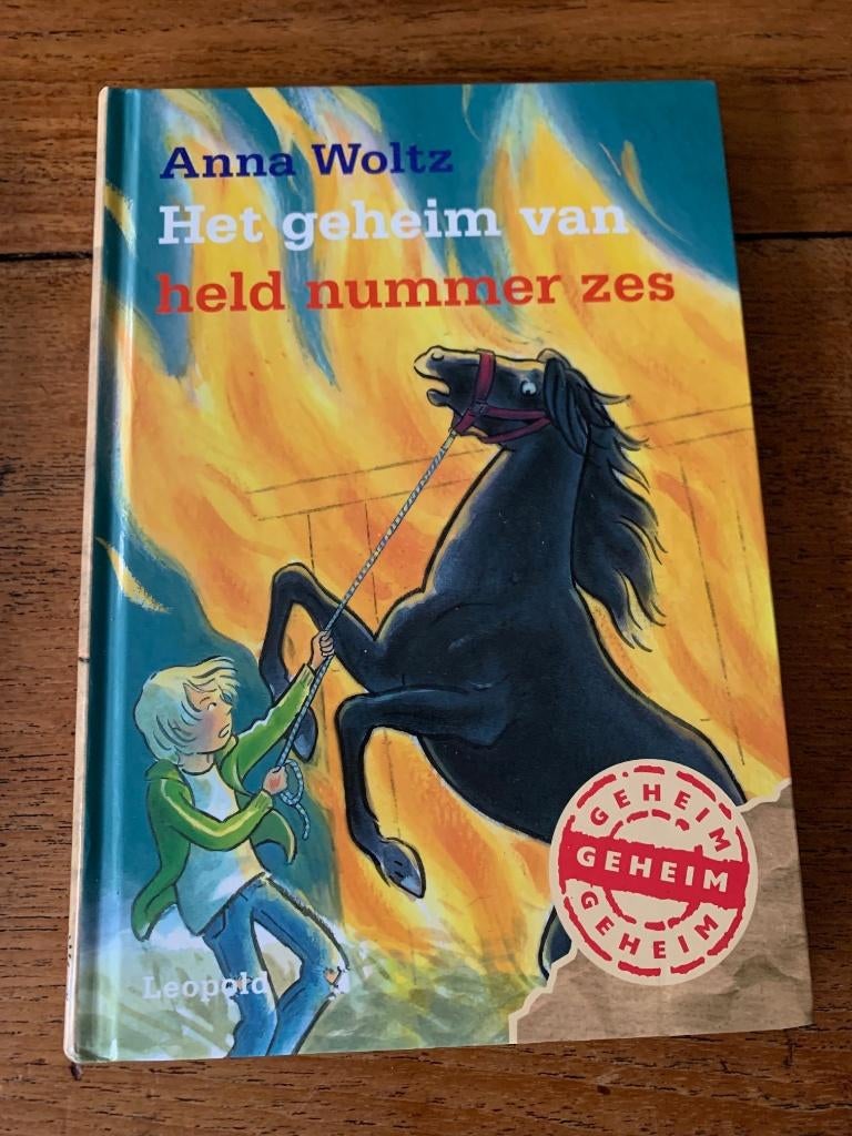 Anna Woltz - Het geheim van held nummer zes, Ophalen of Verzenden, Zo goed als nieuw, Anna Woltz, Fictie algemeen