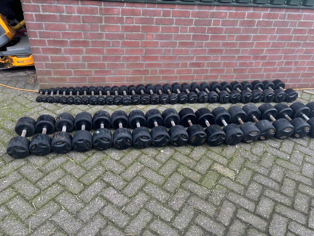 Lifemaxx dumbbellset 12-30 kg, Ophalen, Lifemaxx, Lifemaxx, Zo goed als nieuw