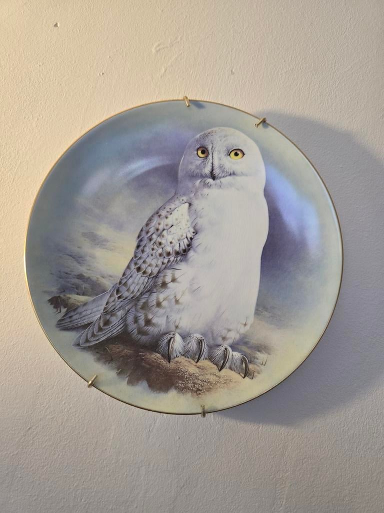 Sneeuwuil Decoratief Bordje - Raymond Watson, Antiek en Kunst, Ophalen of Verzenden