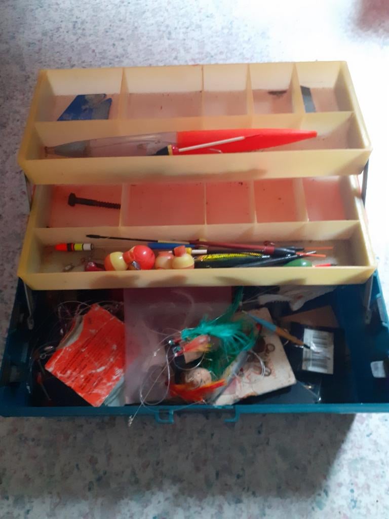 Viskoffer met diverse visspullen, Ophalen of Verzenden, Gebruikt