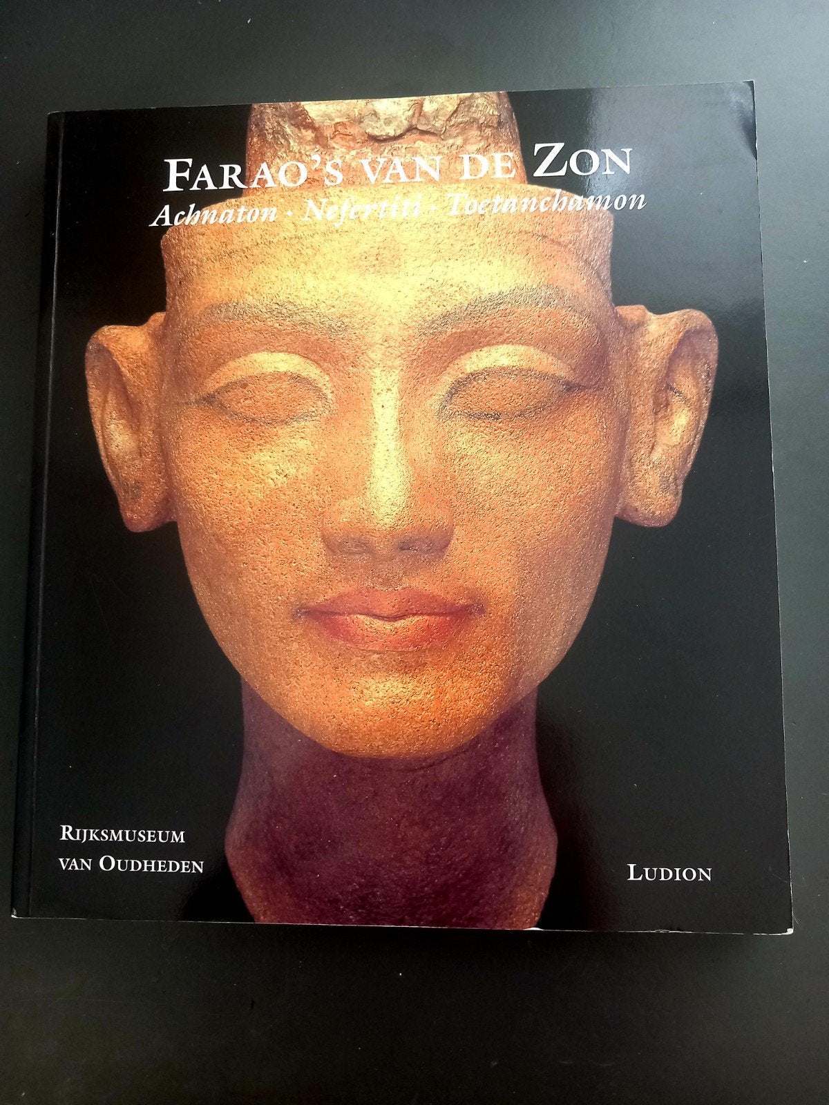 Boek Farao's van de Zon: Akhenaten, Nefertiti, Toetanchamon, Ophalen of Verzenden, Afrika