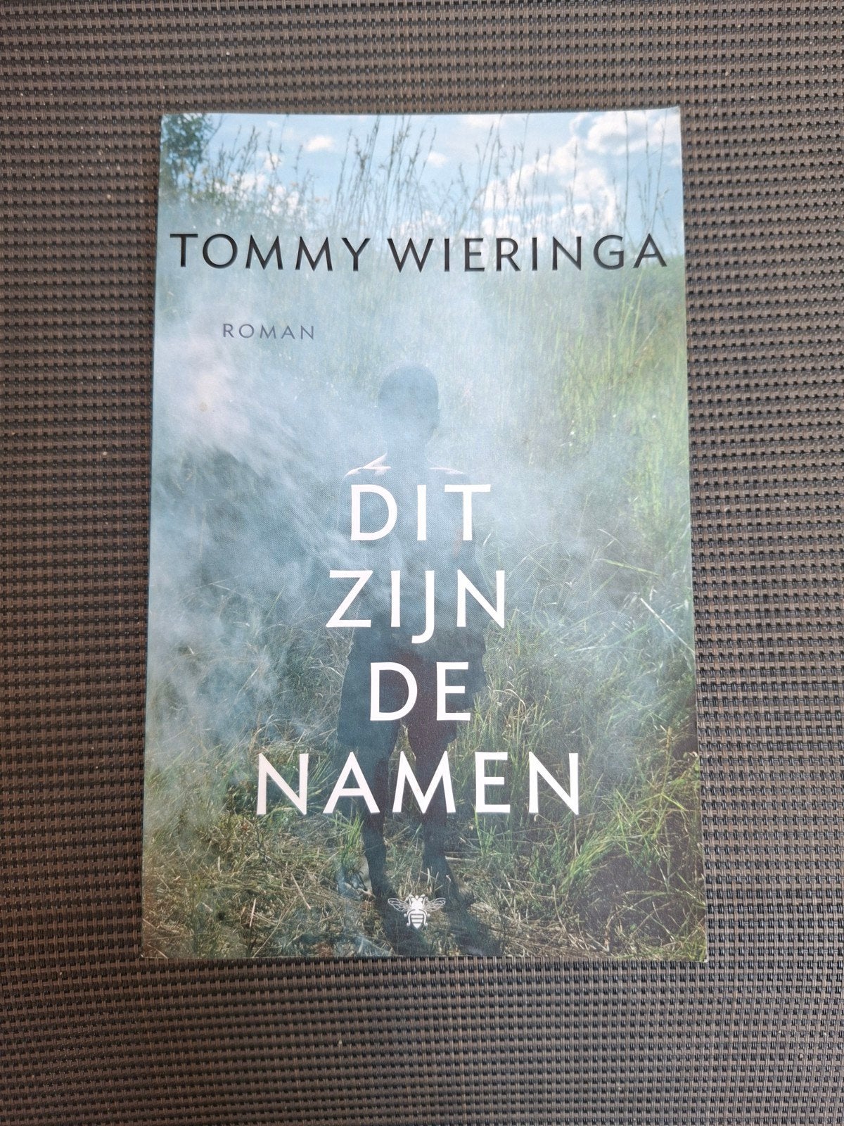 Dit zijn de namen - Tommy Wieringa (Roman), Gelezen, Tommy Wieringa, Ophalen of Verzenden, Nederland