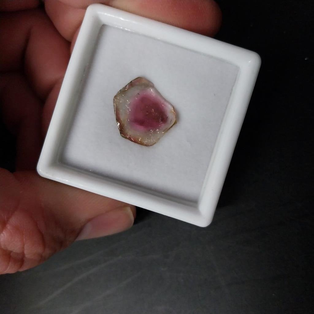 Watermeloen toermalijn schijfje, Verzamelen, Mineralen en Fossielen, Ophalen of Verzenden