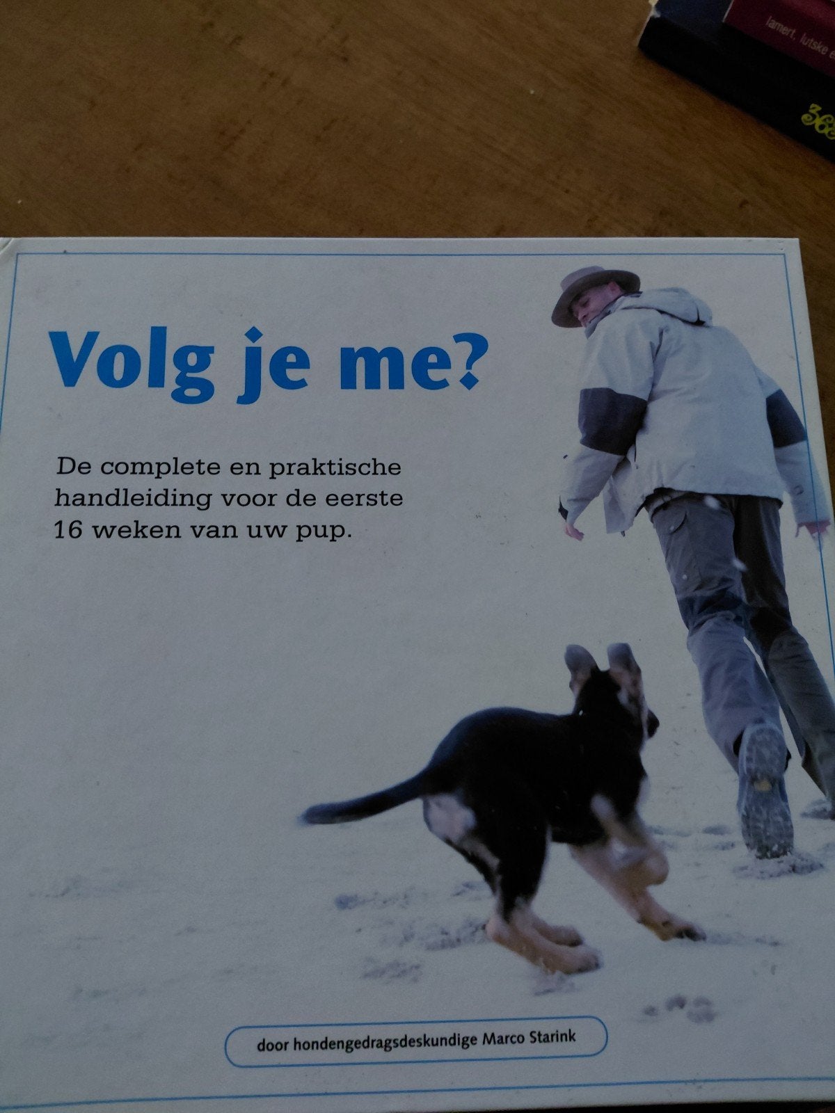 Een complete handleiding voor de eerste 16 weken van de pup, Ophalen of Verzenden, Zo goed als nieuw, Honden