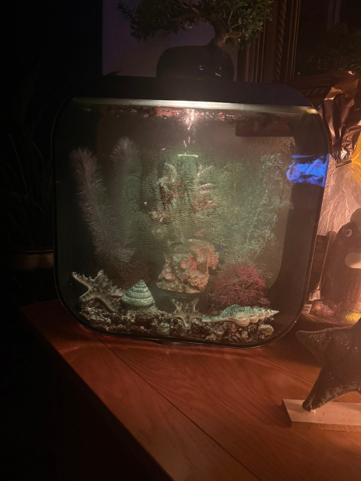 Biorp aquarium 30 liter, Ophalen, Gebruikt