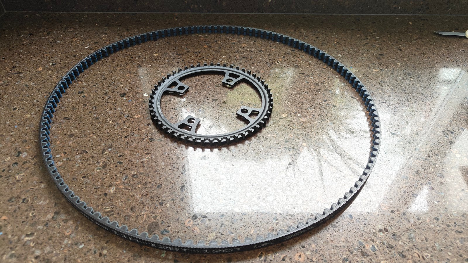 Gates cdx belt 125 tands en tandwiel 50 voor., Ophalen