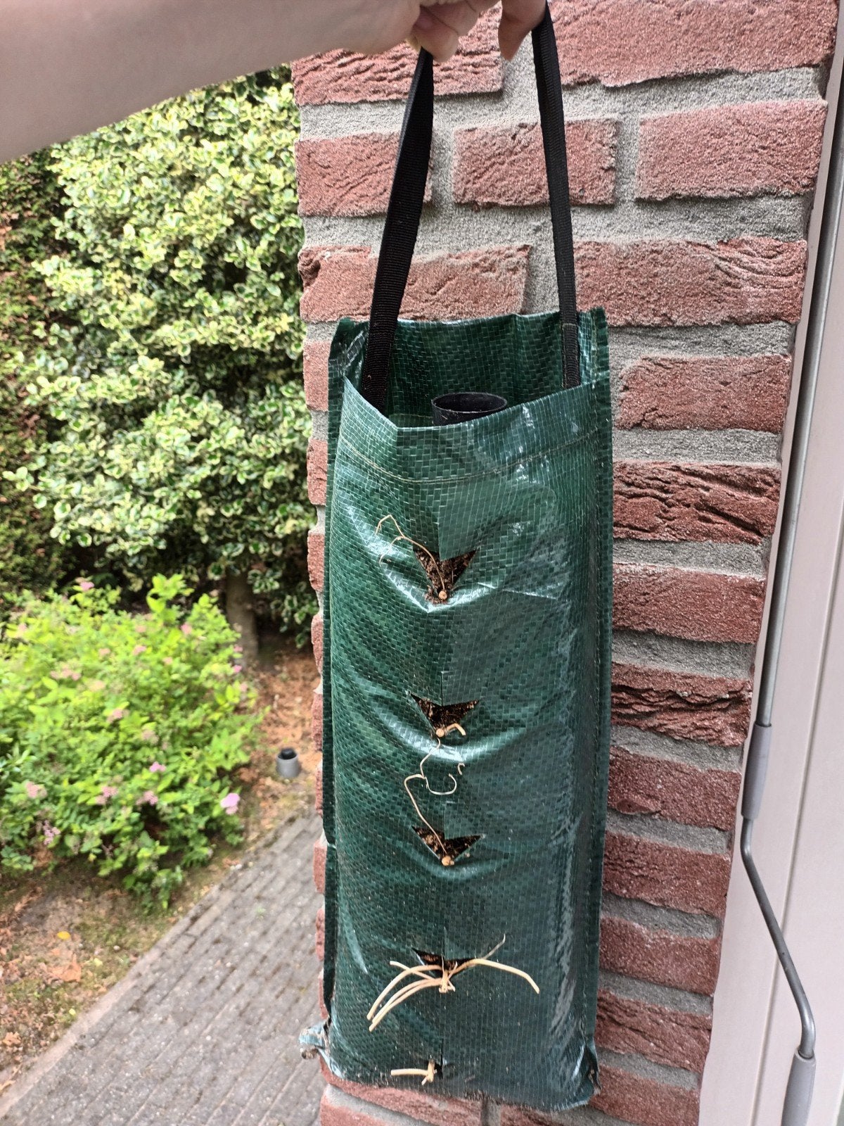 Groene hangzak kweekzak zak groen voor tuinplanten planten, Kunststof, Gebruikt, Ophalen of Verzenden, Balkon