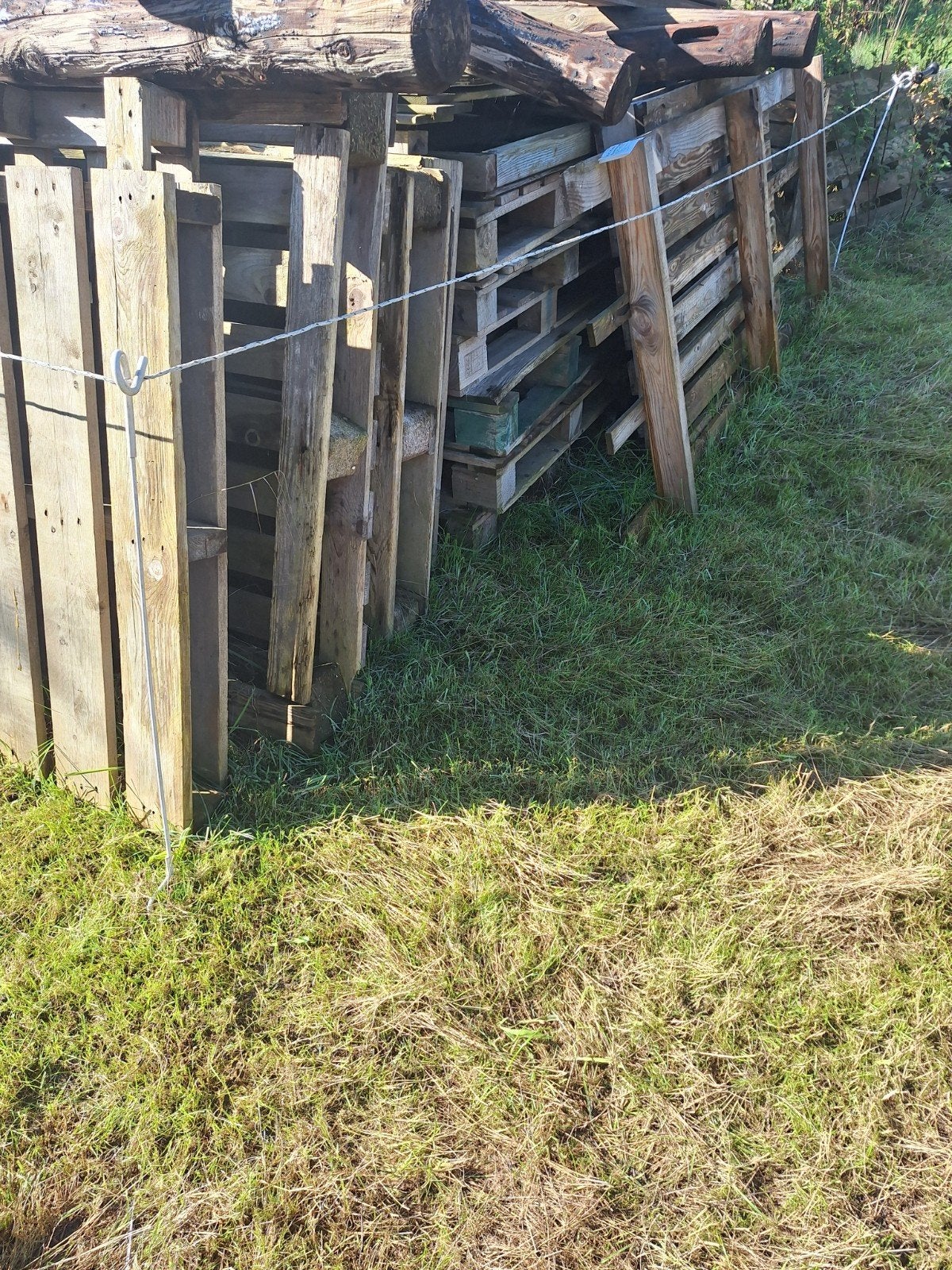 gratis pallets , ook europallets, Ophalen of Verzenden