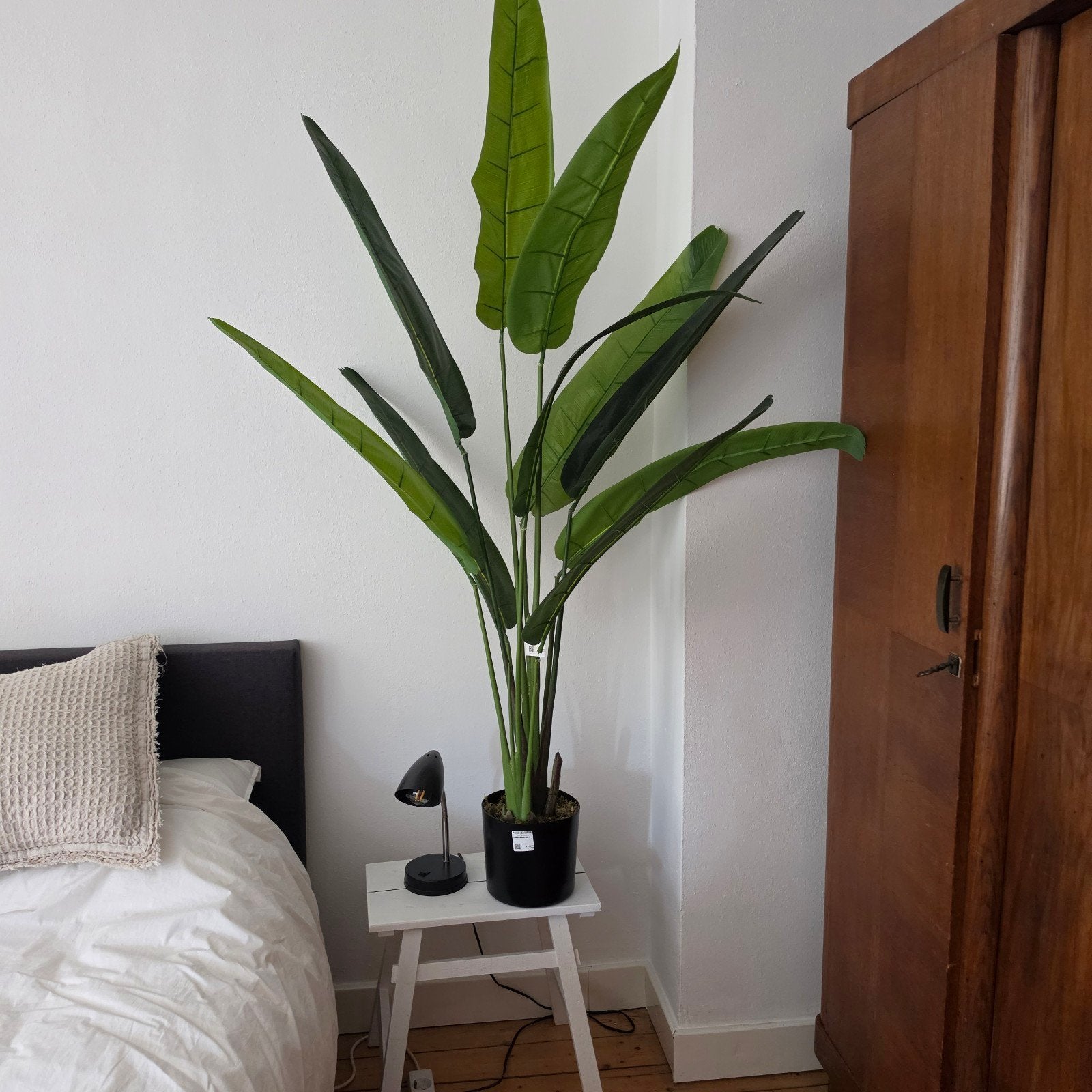 kunstplant Strelitzia, Ophalen, Binnen, Groen, Onderhoudsvrij