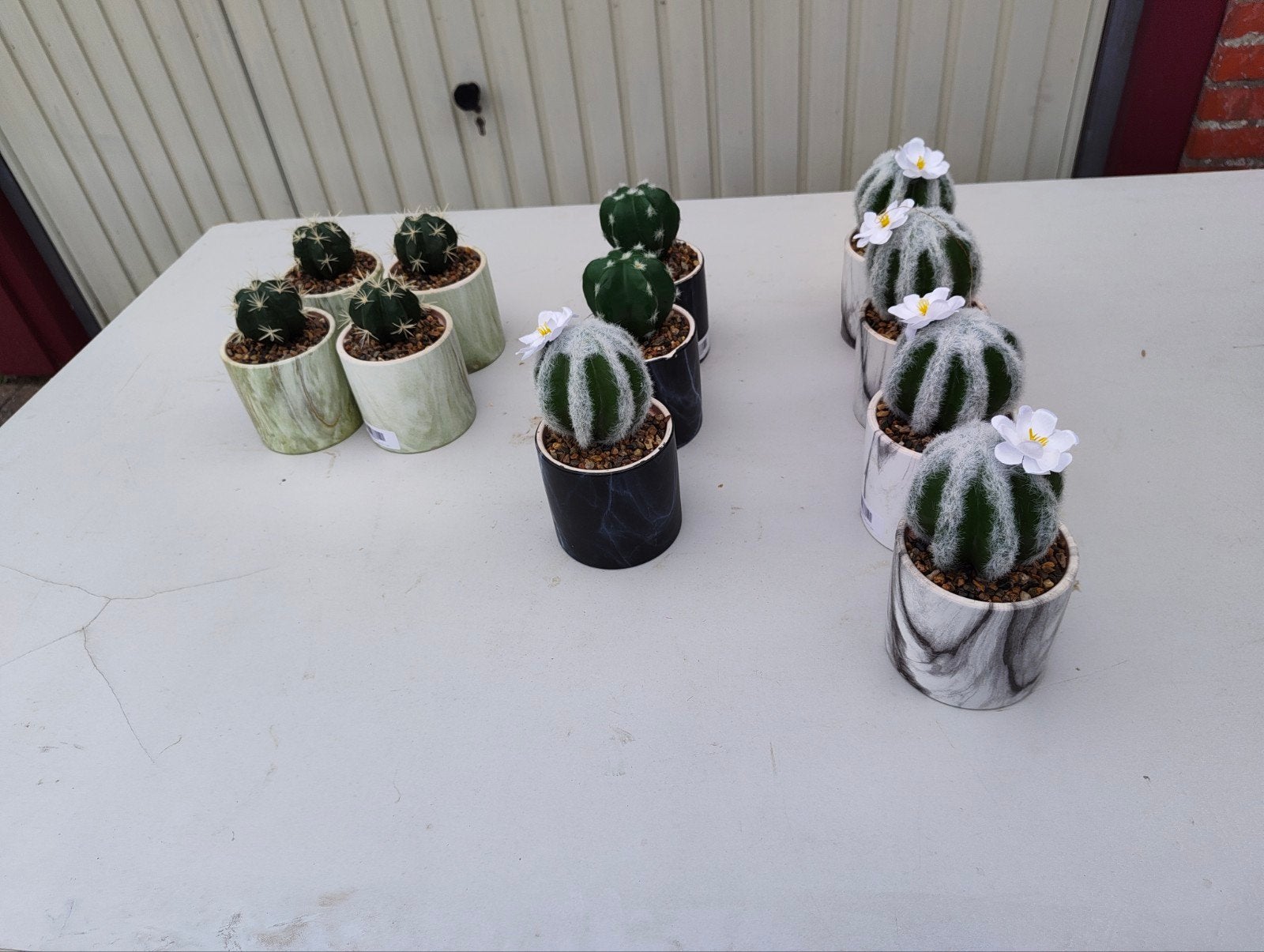 Kunstcactus in pot - Diverse soorten en kleuren, Ophalen, Binnen, Groen, Met pot of vaas