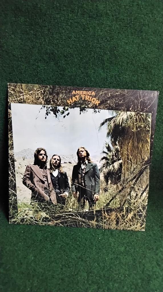 AMERICA, Cd's en Dvd's, Vinyl | Rock, Ophalen of Verzenden, Gebruikt, 12 inch, Poprock