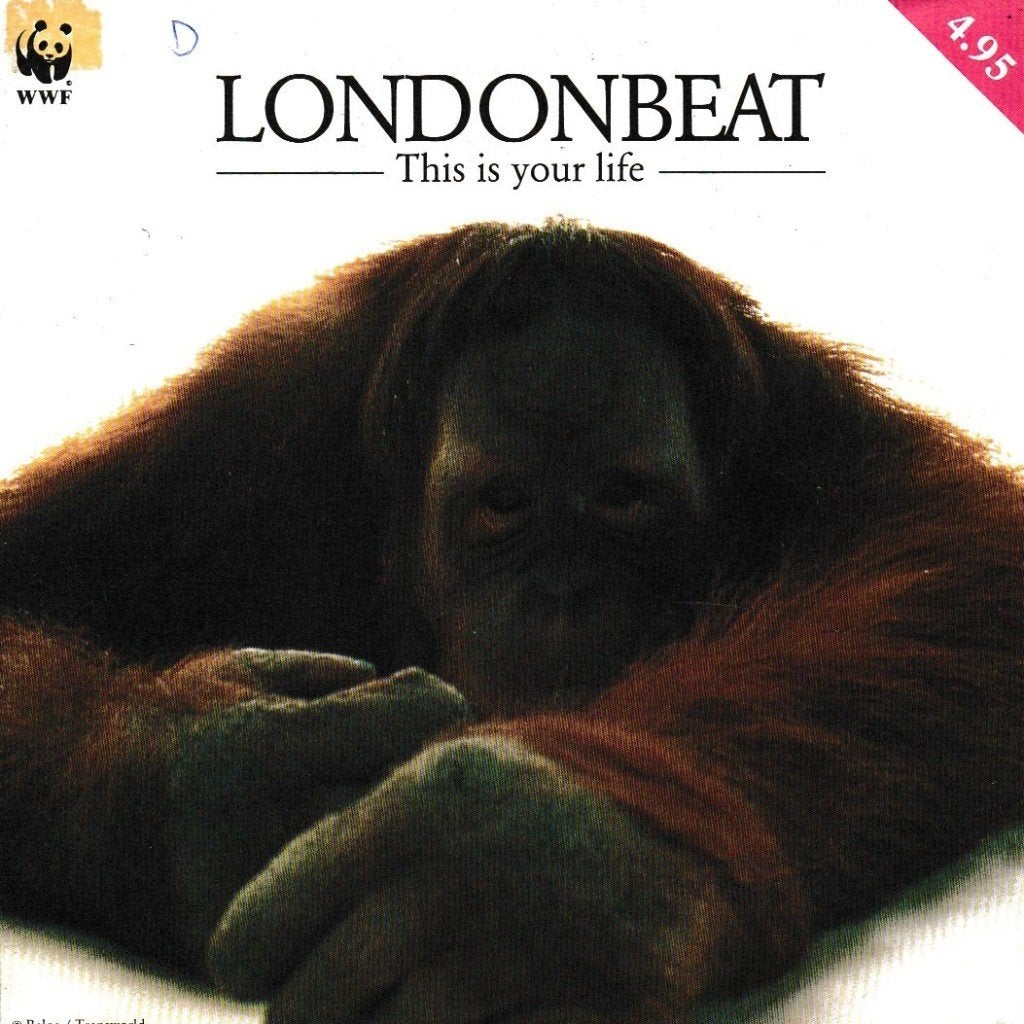 Londonbeat - This is your life, Ophalen of Verzenden, Gebruikt, 7 inch, Pop