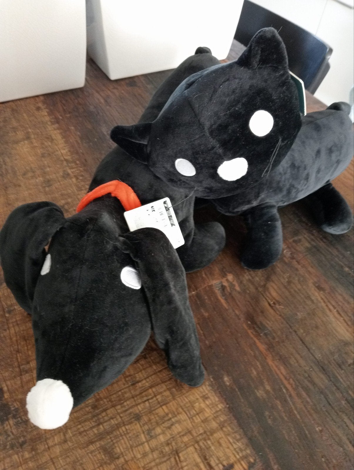 Takkie en Siepie, Ophalen, Nieuw, Hond
