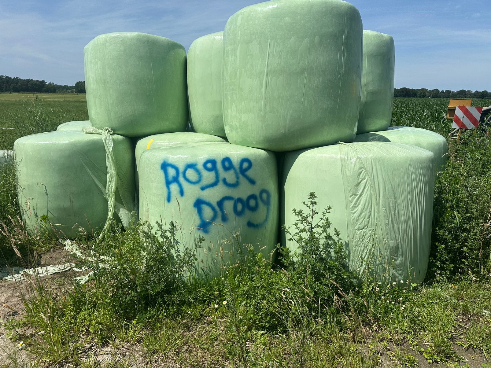 Grote rogge balen, Ophalen, Vee