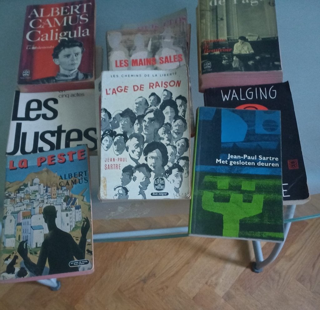 Sartre, Camus & de Beauvoir – existentialisme, Ophalen of Verzenden, Gelezen, Diverse auteurs