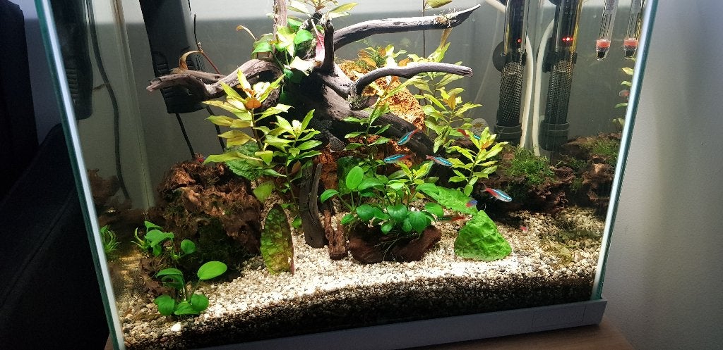 Compleet aquarium 50l, Ophalen, Zo goed als nieuw, Gevuld zoetwateraquarium, Superfish