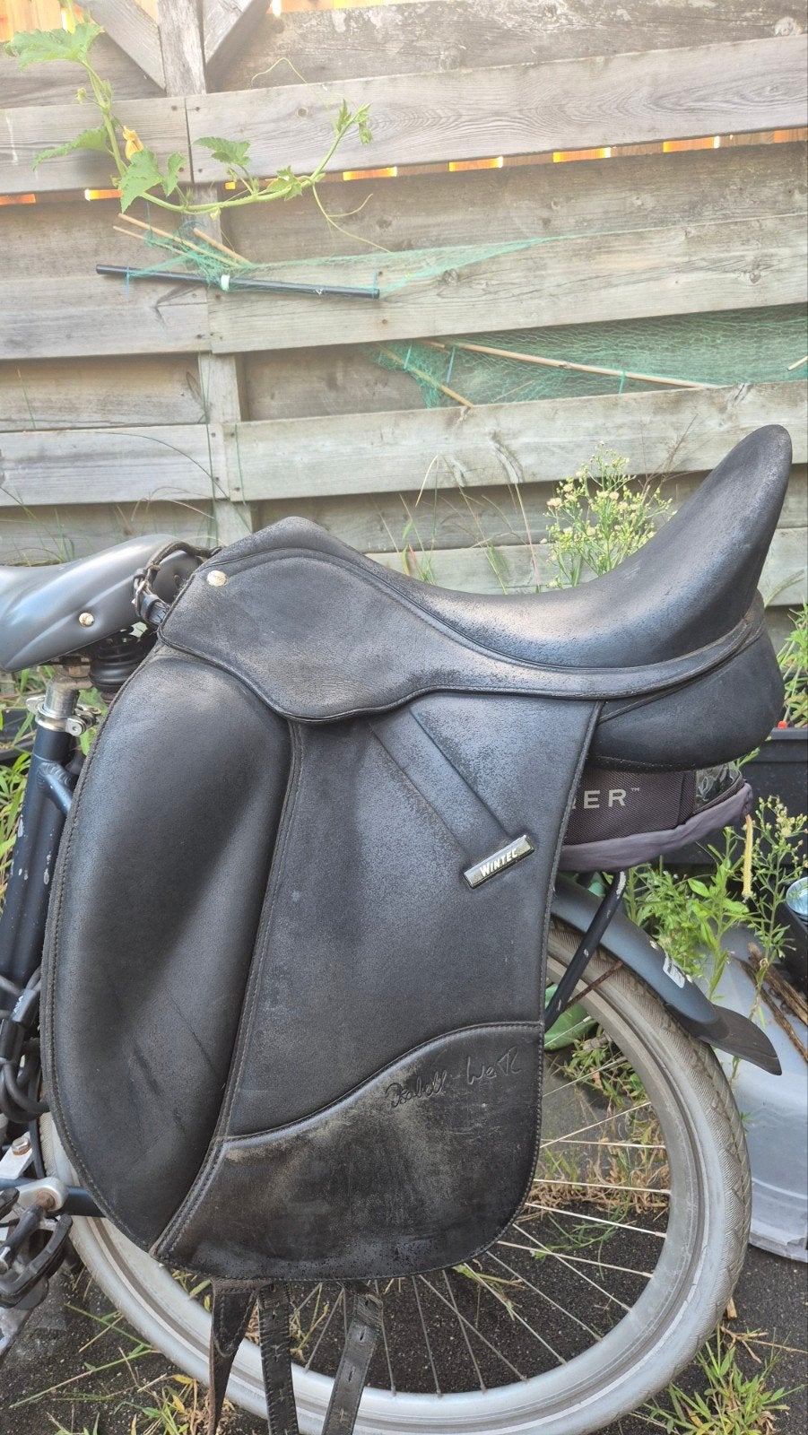 wintec isabell werth 17.5 inch, Dieren en Toebehoren, Ophalen, Gebruikt, Dressuur