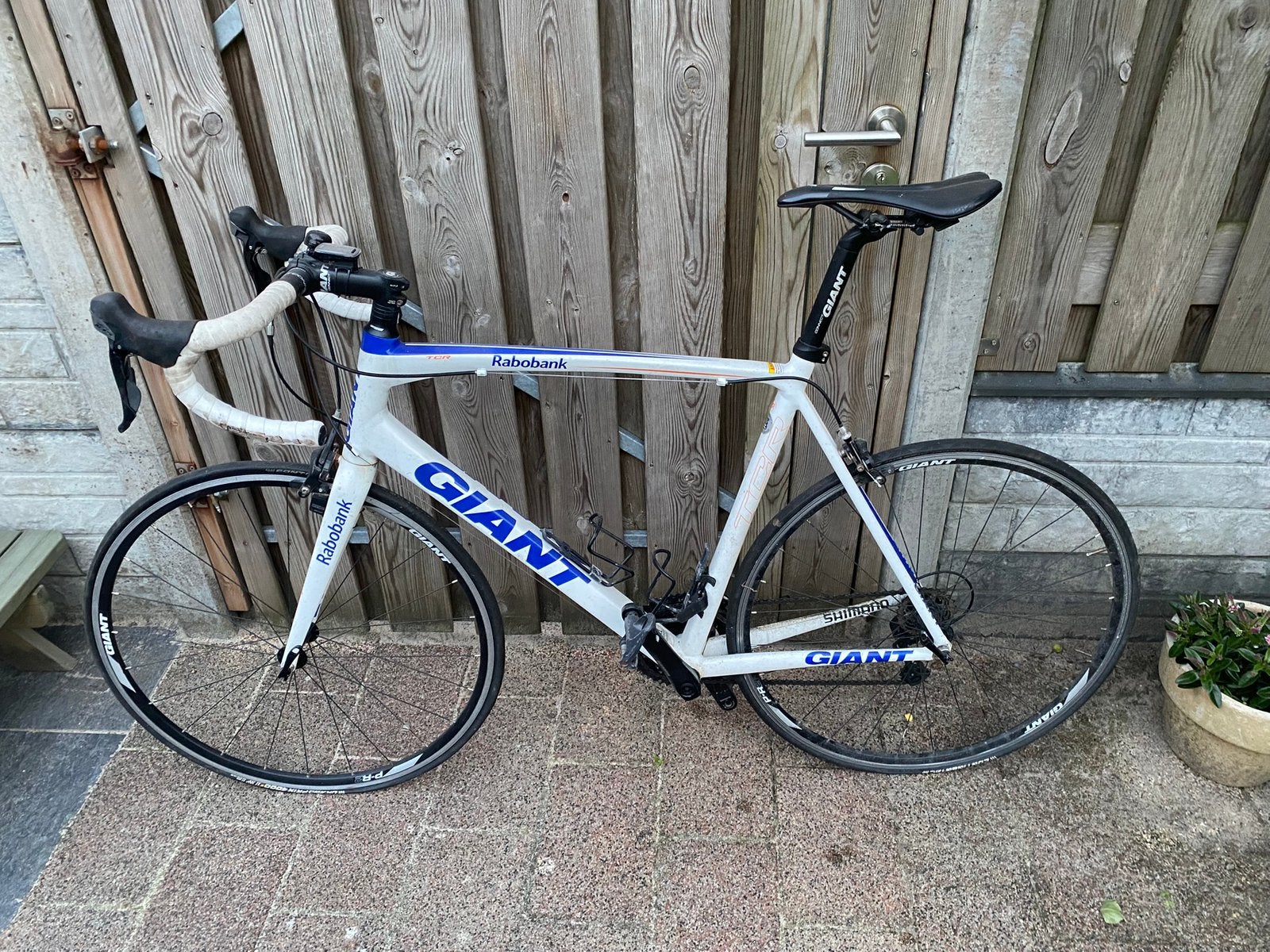 Wielrenfiets Rabobank Giant, Ophalen, Gebruikt, Heren, Aluminium