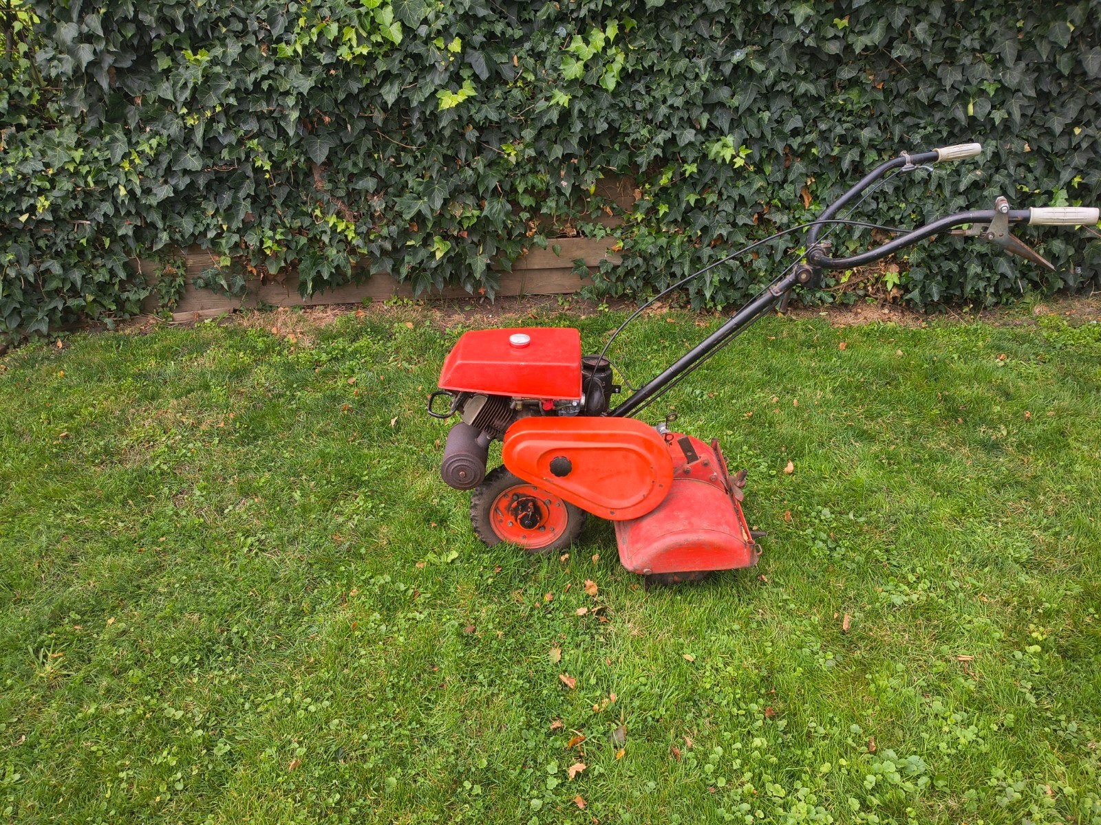 Hako Tuinfrees met JLO Motor - Krachtig en Betrouwbaar, Ophalen