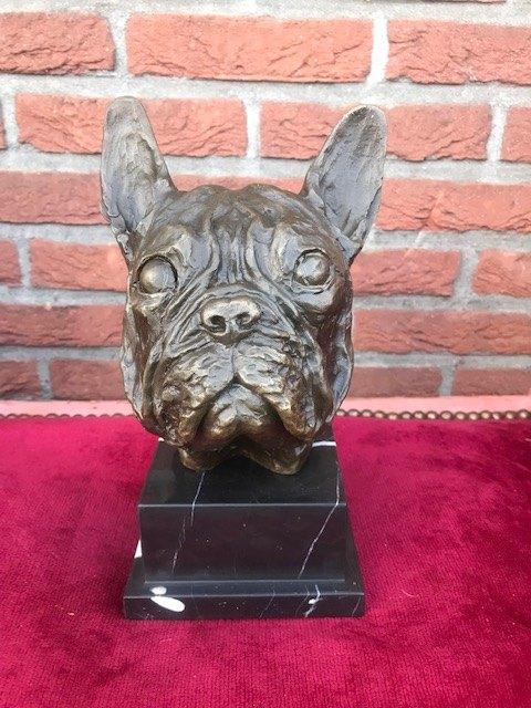 zware bronzen buste, Franse bulldog, Ophalen of Verzenden, Gemerkt, Brons, Beeld