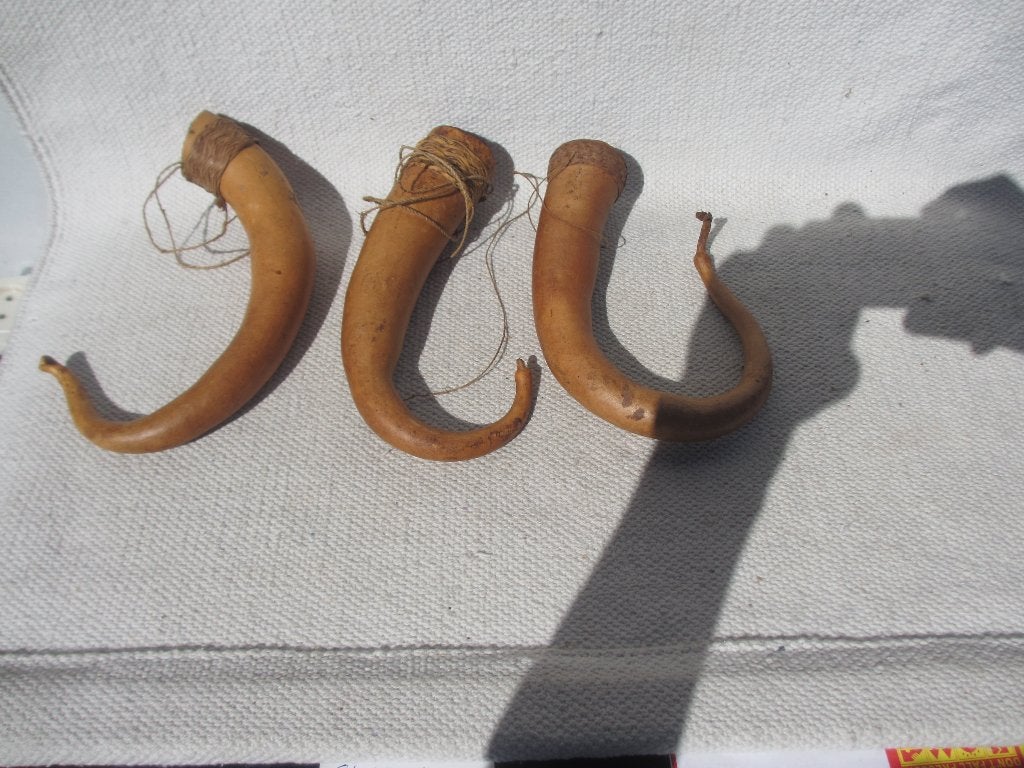 3x Koteka (Peniskoker) Papua Nieuw Guinea, Antiek en Kunst, Natuurlijk materiaal, Overige typen, Papoea-Nieuw-Guinea, Handgemaakt