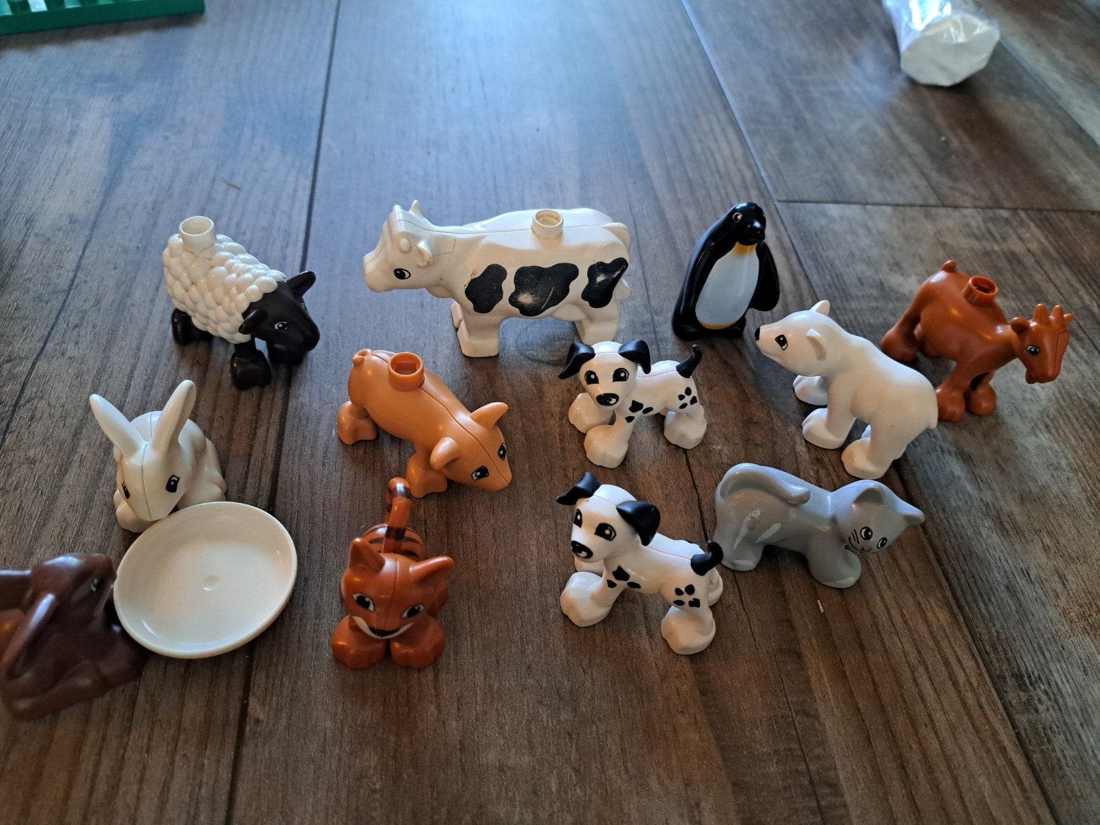 duplo dieren, Ophalen of Verzenden