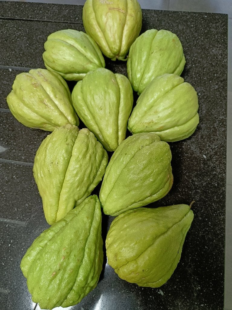 verse chayote, Ophalen