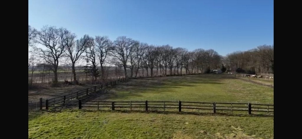 Unieke paardenlocaite te huur Assen / Taarlo, Dieren en Toebehoren, Weidegang, 4 paarden of pony's of meer