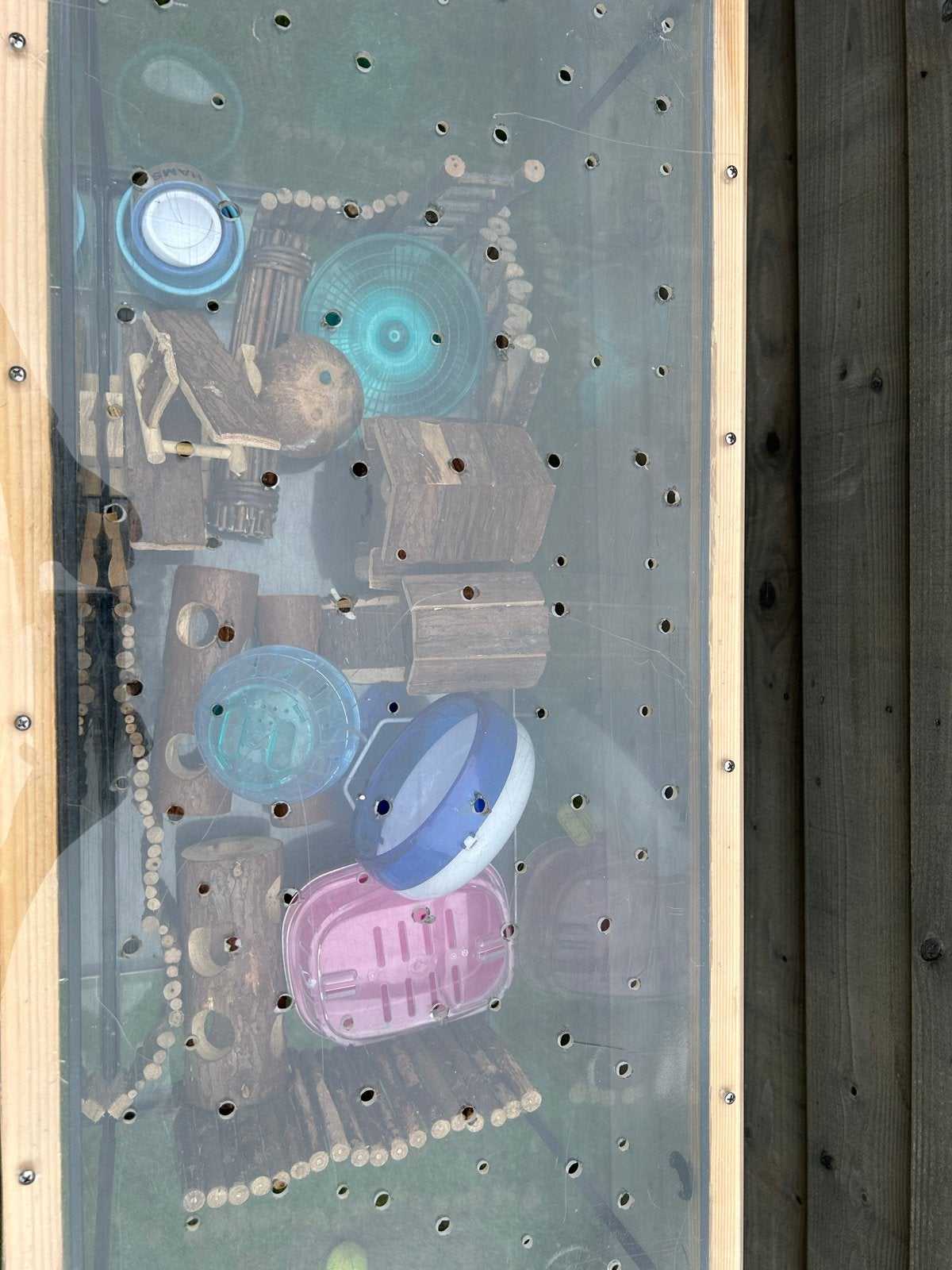 Mooi hamster terrarium, Ophalen