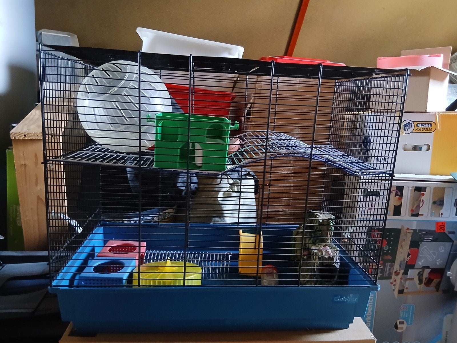 Hok en toebehoren voor hamsters, Gebruikt, Minder dan 75 cm, Ophalen, Minder dan 60 cm