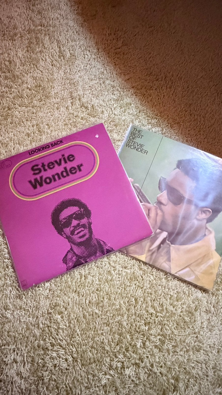 Stevie Wonder LP’s, Ophalen of Verzenden, Gebruikt, 12 inch