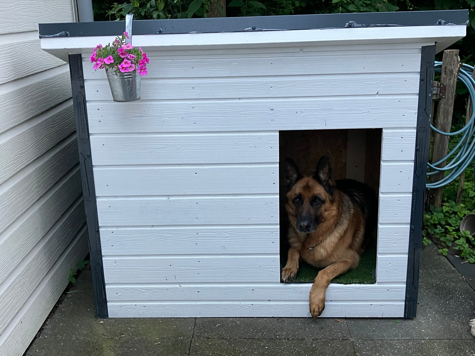 Goed geïsoleerd groot hondenhok, Dieren en Toebehoren, Hondenhokken, Zo goed als nieuw, Hondenhok, 100 cm of meer, 110 cm of meer