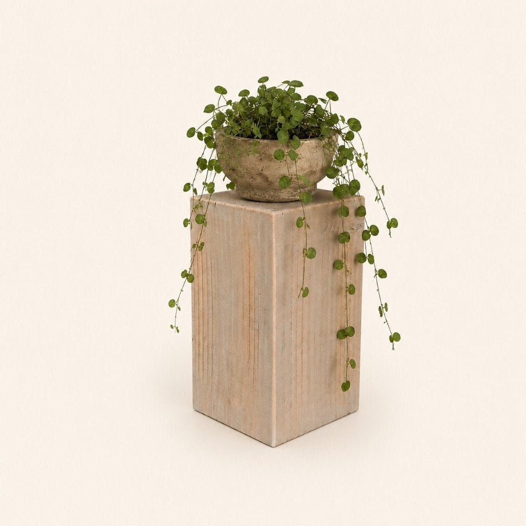 Houten decoratief blok - mini zuiltje Douglas #D20, Hout, Houtatelier M.Y., Info@myhoutatelier.nl, Nieuw