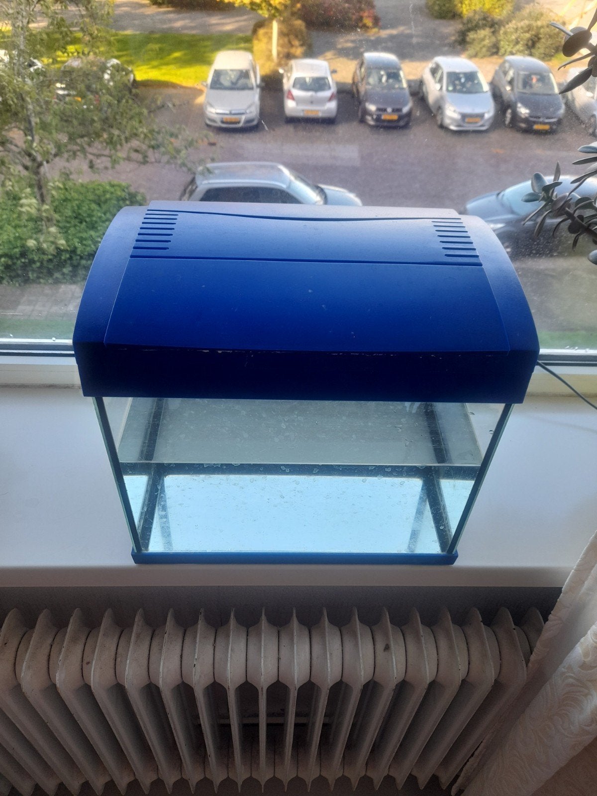Glazen Startersaquarium / Nano Aquarium met Blauwe Lichtkap, Ophalen, Leeg aquarium