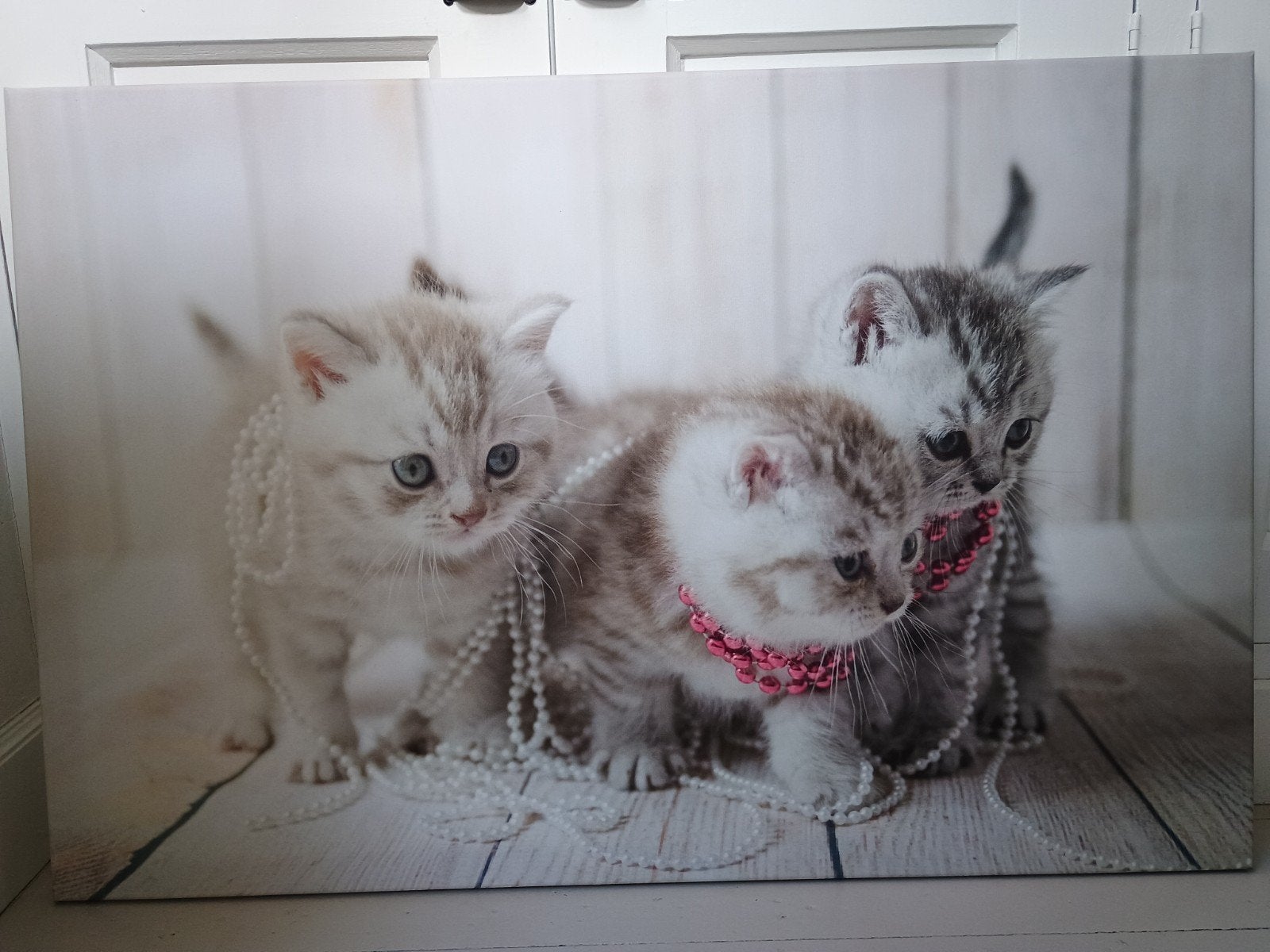 GRATIS Canvas foto met schattige kittens 60x90cm, Ophalen, 50 tot 75 cm, Zo goed als nieuw, Schilderij