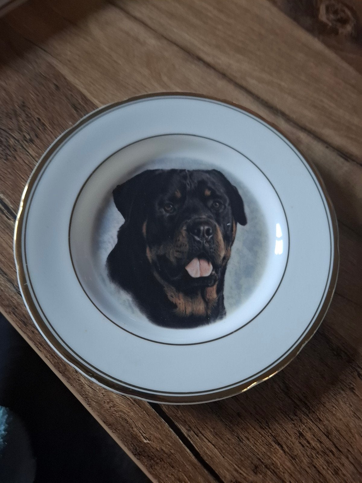 Decoratief bordje met Rottweiler afbeelding, Antiek en Kunst, Ophalen of Verzenden