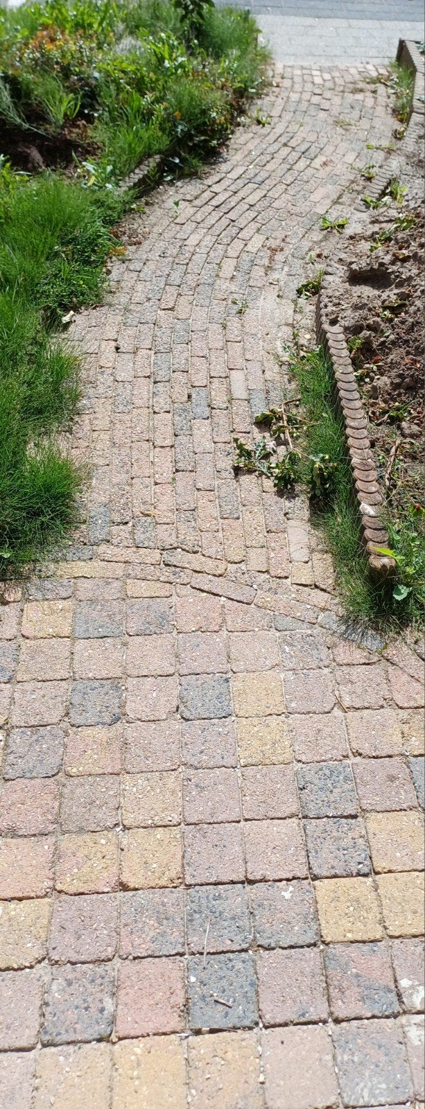 ZATERDAG GRATIS OPHALEN! Rood-bruine stenen bestrating, Ophalen, Gebruikt, Beton, Klinkers