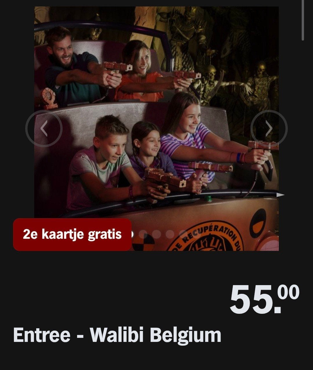 WALIBI BELGIUM ♡ 2e kaartje gratis (AH SPAARKAARTEN), Overige typen