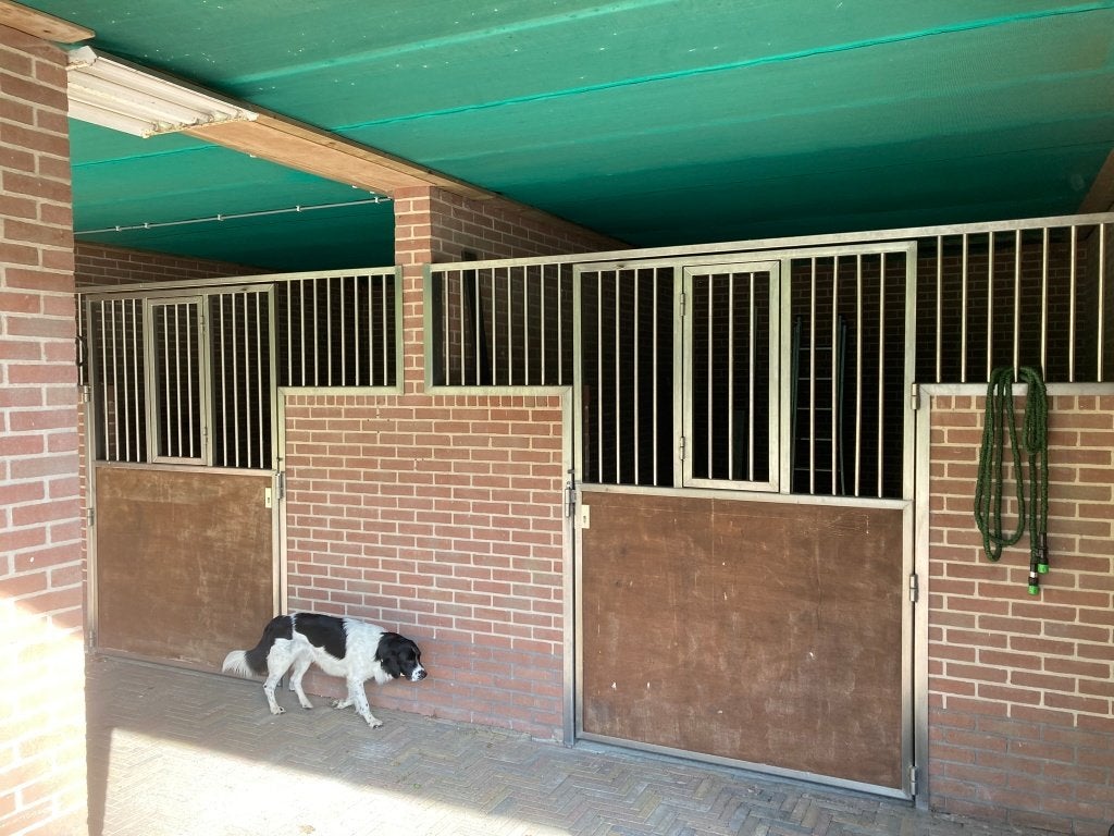 Twee RVS deuren voor paardenstal - voorwand, Dieren en Toebehoren, Stalling, 2 of 3 paarden of pony's