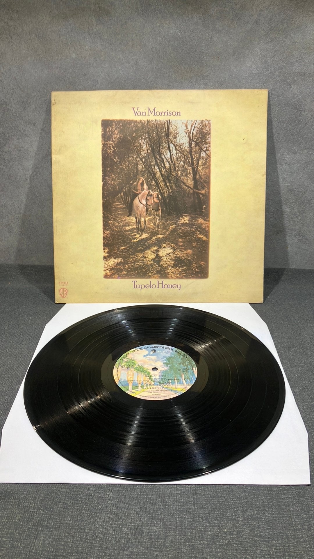 Van Morrison — Tupelo Honey, LP, Blues Rock, Ophalen of Verzenden, 12 inch