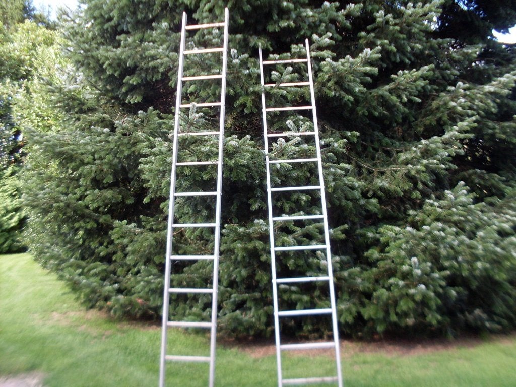 Aluminium ladder 12 treden., Ophalen, Gebruikt, Ladder, 2 tot 4 meter